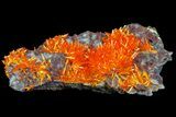 Mimetite Crystal Cluster - Rowley Mine, AZ #76896-1